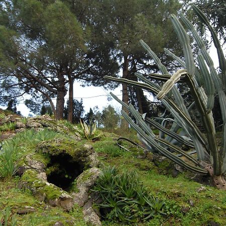 La Dimora Le Fumarole Rooms Ercolano Eksteriør bilde